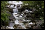 Wasserlauf (Shannon Falls)