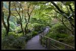 Japanischer Garten #1